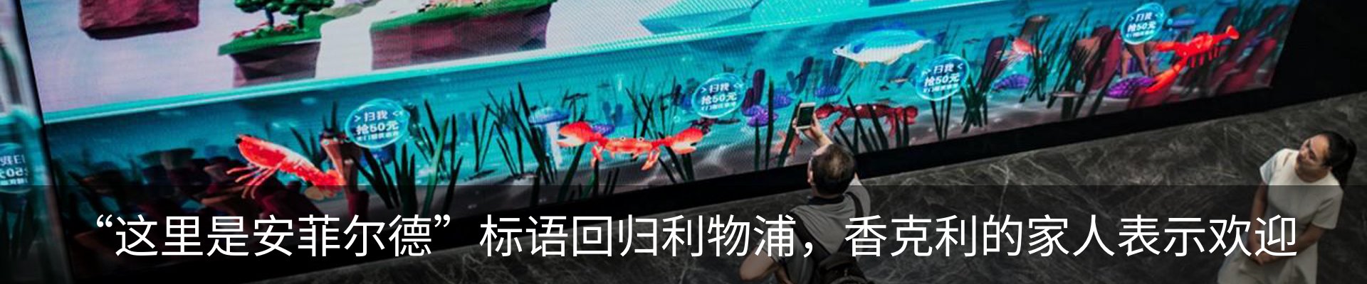 新闻动态
