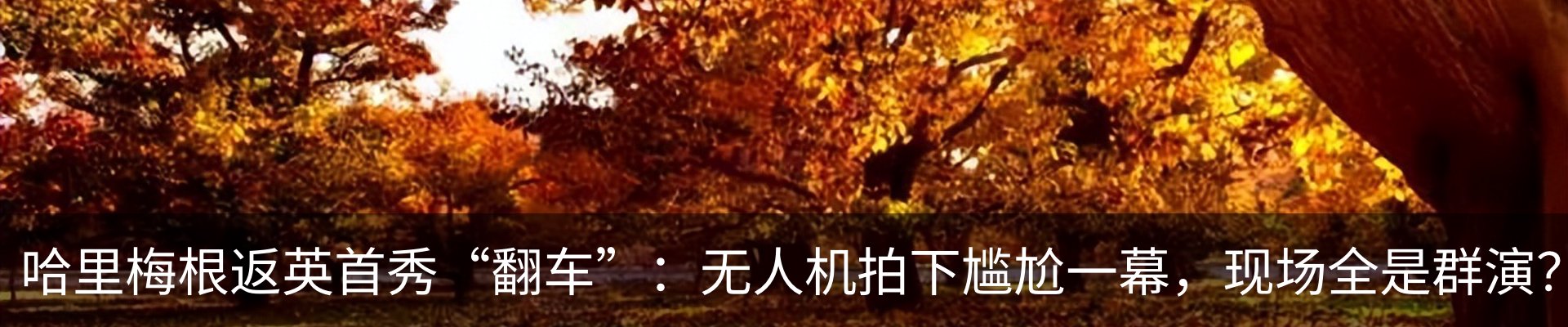 新闻动态