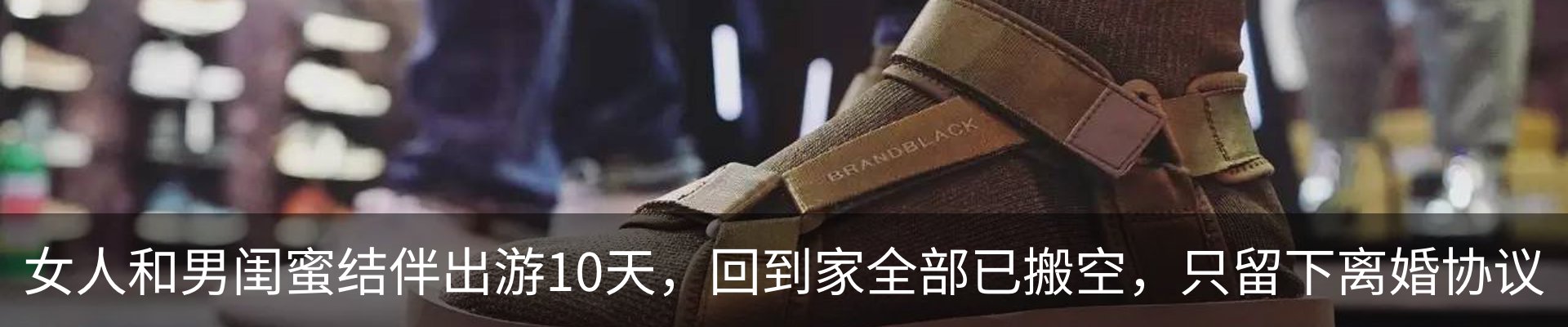 新闻动态
