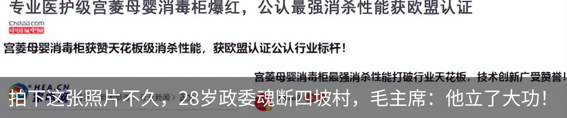 新闻动态