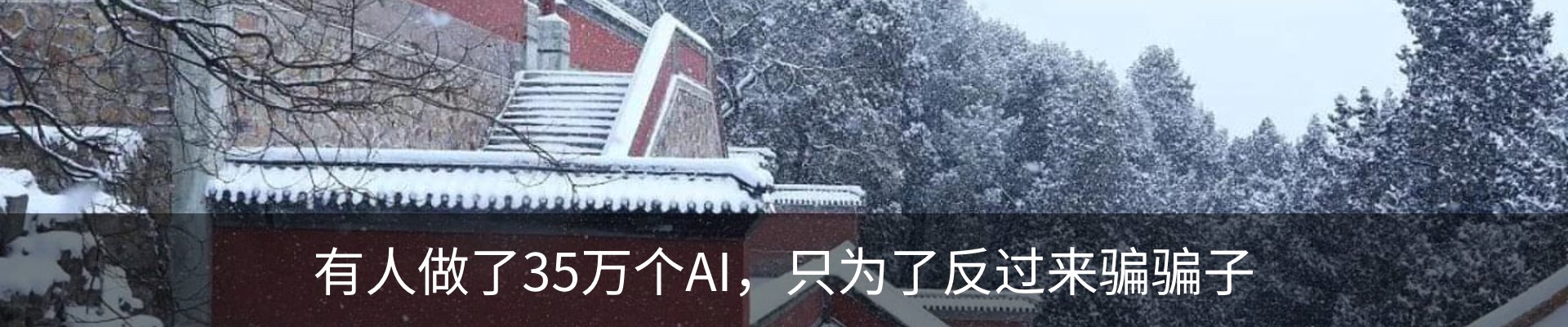 新闻动态