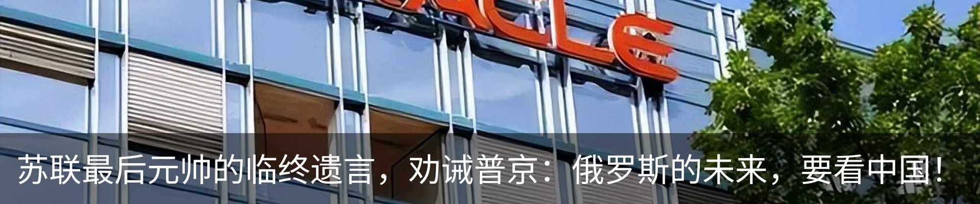 新闻动态