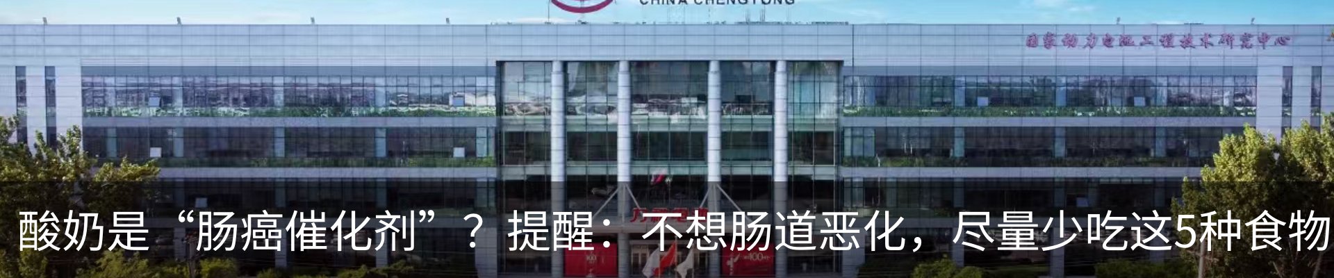 新闻动态