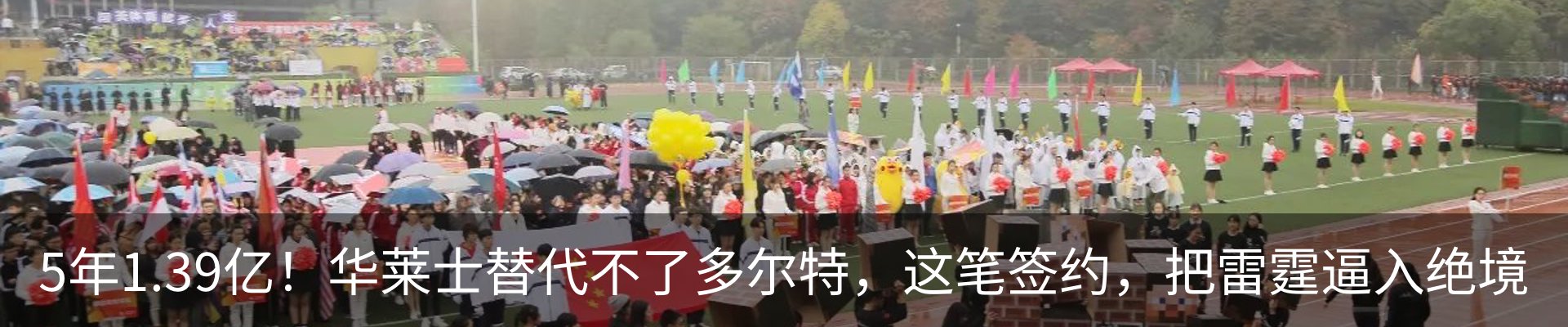 新闻动态
